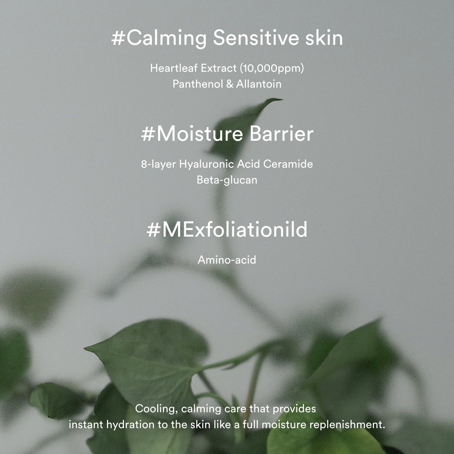 The Abib Heartleaf Creme Calming Tube, a renowned K-Beauty product, features ingredients like Heartleaf Extract, Panthenol, Allantoin, Hyaluronic Acid Ceramide, Beta-glucan, and Amino-acid. #Calming #MoistureBarrier #MildExfoliation.