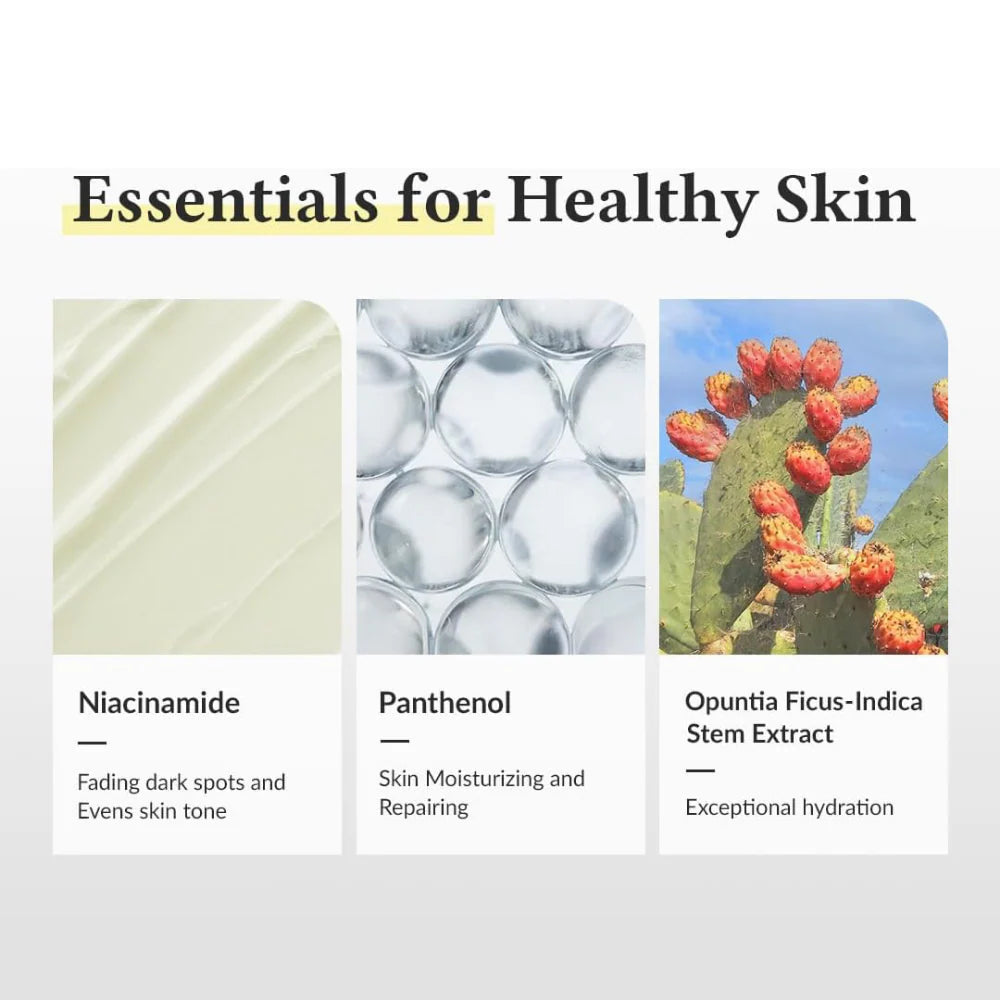 Product packaging with images of niacinamide, panthenol, and opuntia ficus-indica stem extract, labeled as 'Essentials for Healthy Skin'.