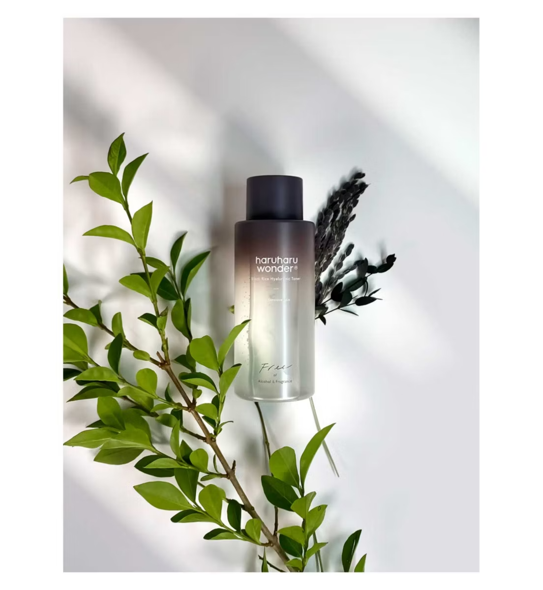 A 150ml bottle of Haruharu WONDER Black Rice Hyaluronic Toner is on a light surface, surrounded by green leaves and a dark sprig. It casts soft shadows with its half dark brown, half translucent design and black cap.