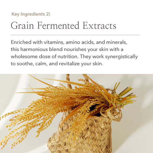 A woven basket of golden grain sits atop a light surface. Above, text highlights that Beauty of Joseon Relief Sun: Rice + Probiotics SPF50+ PA++++ nourishes skin with vitamin-rich rice extract for soothing, revitalizing care.