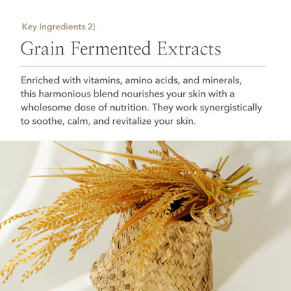 A woven basket of golden grain sits atop a light surface. Above, text highlights that Beauty of Joseon Relief Sun: Rice + Probiotics SPF50+ PA++++ nourishes skin with vitamin-rich rice extract for soothing, revitalizing care.