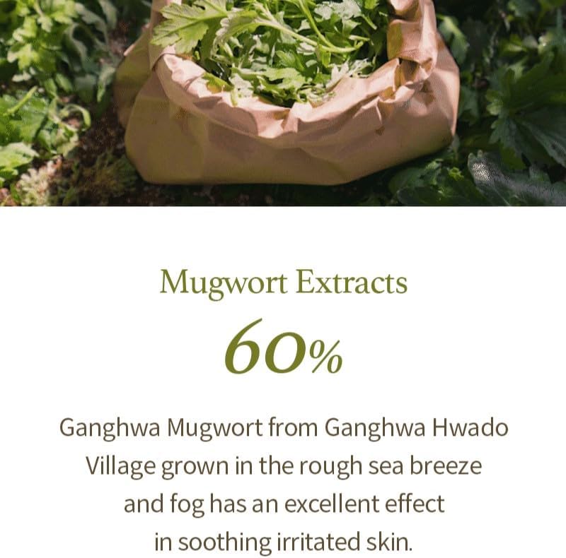 A brown paper bag with green leaves on greenery reads: Im From Mugwort Gel Cleanser 150ml. This 60% Ganghwa mugwort extract, cold-extracted in the sea breeze and fog from Hwado Village, excels at pore cleansing and soothing irritated skin.