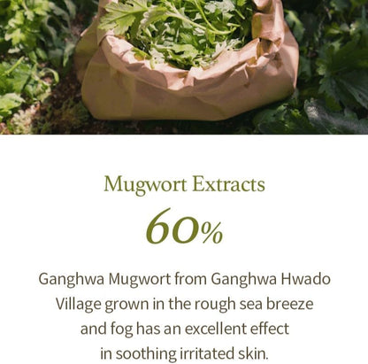 A brown paper bag with green leaves on greenery reads: Im From Mugwort Gel Cleanser 150ml. This 60% Ganghwa mugwort extract, cold-extracted in the sea breeze and fog from Hwado Village, excels at pore cleansing and soothing irritated skin.