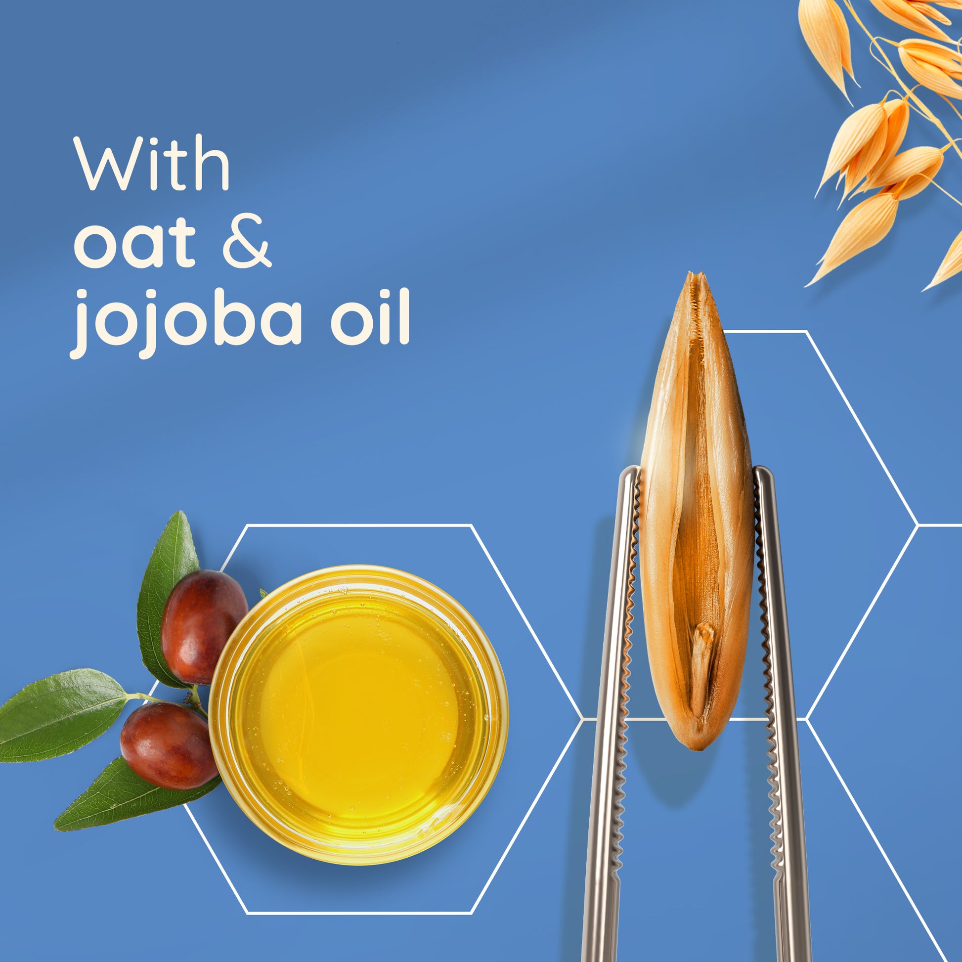 A golden oat grain held by tweezers next to a jar of jojoba oil and seeds on a blue background. Text reads, With oat & jojoba oil. Experience the soothing touch of AVEENO® Skin Relief Body Oil Spray 200ml.